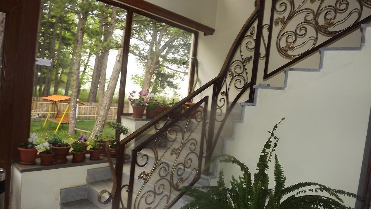 Nectar Hotel ดีลีจาน ภายนอก รูปภาพ
